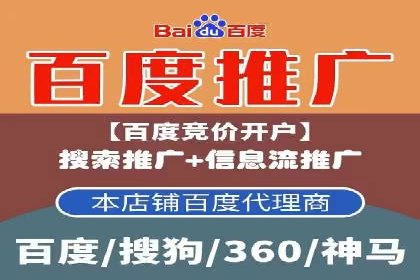 SEM推广实战：案例分析及效果评估